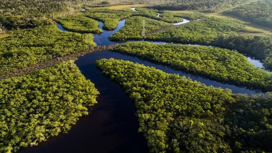 Amazon Clipper - Cruzeiro pelo Rio Negro - Pacote Turístico - Turvicam Amazon Clipper - Cruzeiro pelo Rio Negro - Pacote Turístico - Turvicam