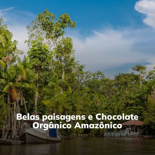 Combu dos Cheiros e Sabores Amazônicos - Passeio Regional - Turvicam