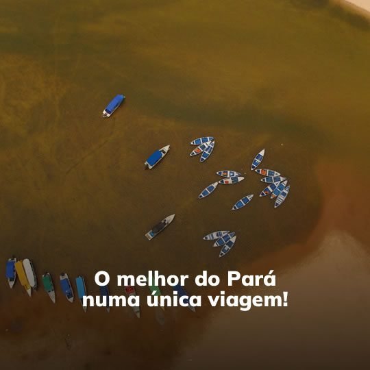 Belém, Ilha do Marajó e Alter do Chão - Passeio Regional - Turvicam Belém, Ilha do Marajó e Alter do Chão - Passeio Regional - Turvicam